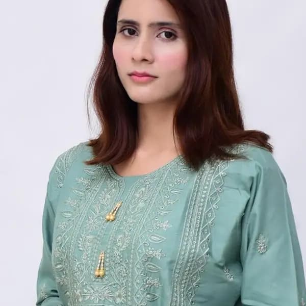 2 pcs linen stitched Embroided suit